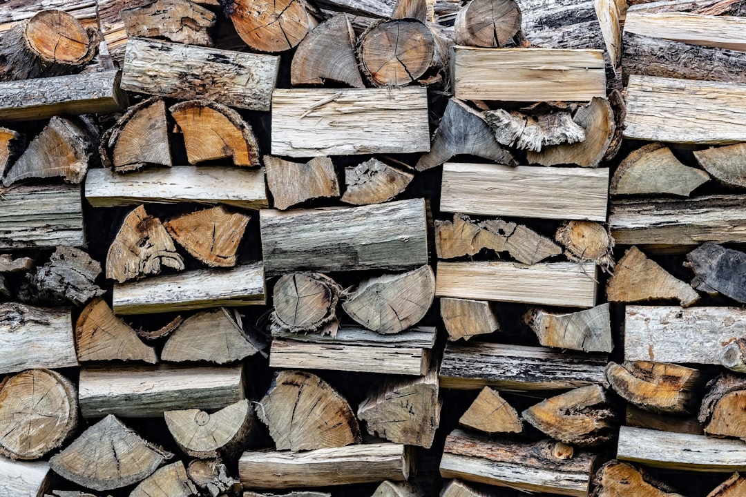 The Risk of Wood: Understanding the Dangers